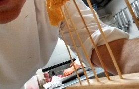 I Piatti (1)