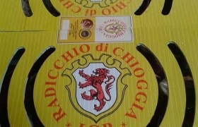 I Piatti (20)